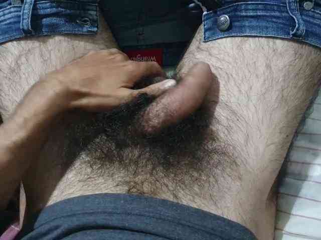 bomvemcam