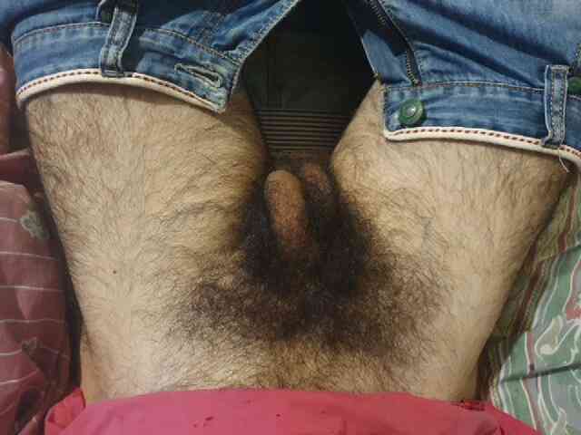 bomvemcam