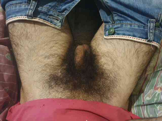 bomvemcam