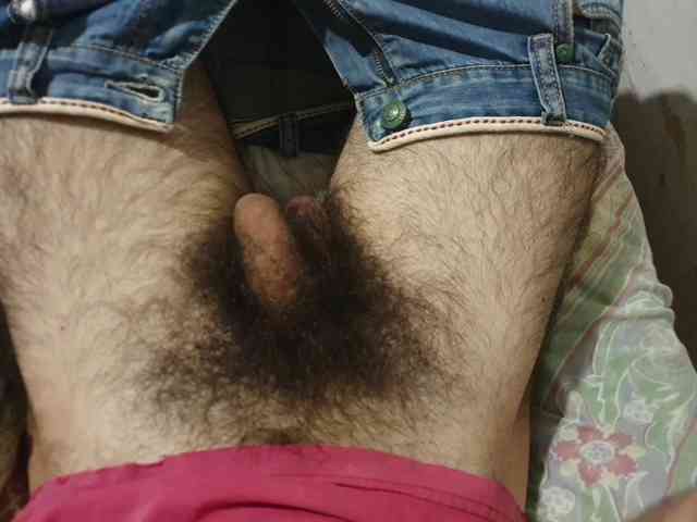 bomvemcam