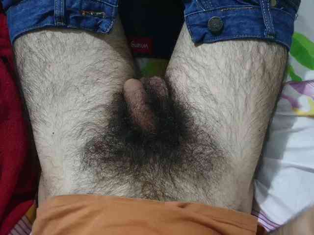 bomvemcam