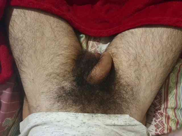 bomvemcam