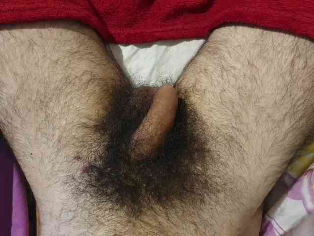bomvemcam