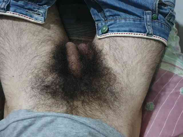 bomvemcam