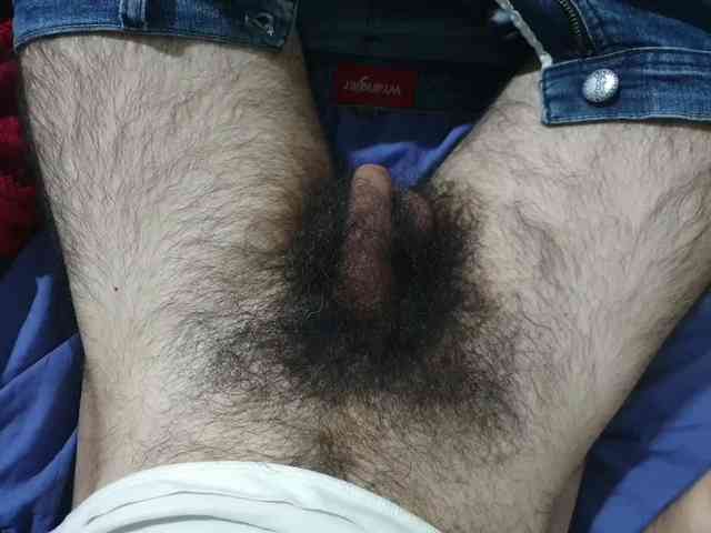 bomvemcam