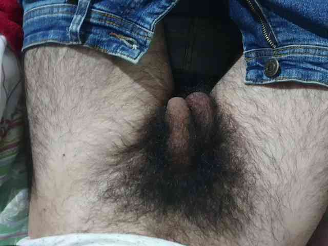 bomvemcam