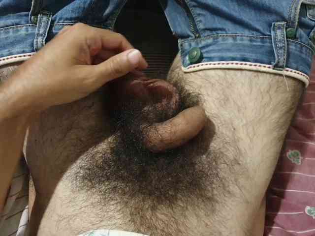 bomvemcam