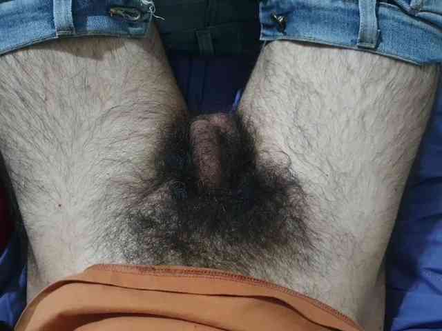bomvemcam
