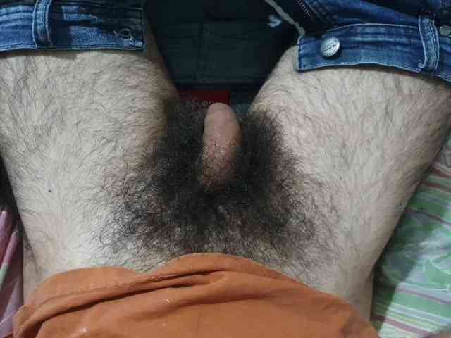 bomvemcam