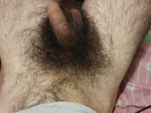 bomvemcam