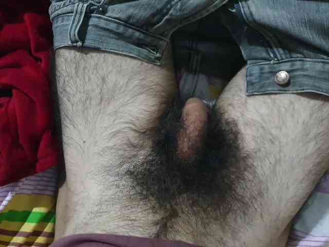 bomvemcam