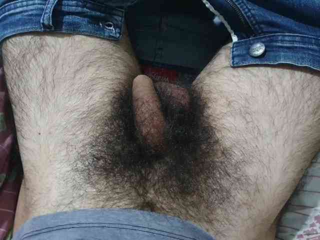 bomvemcam