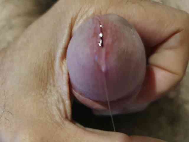 bomvemcam