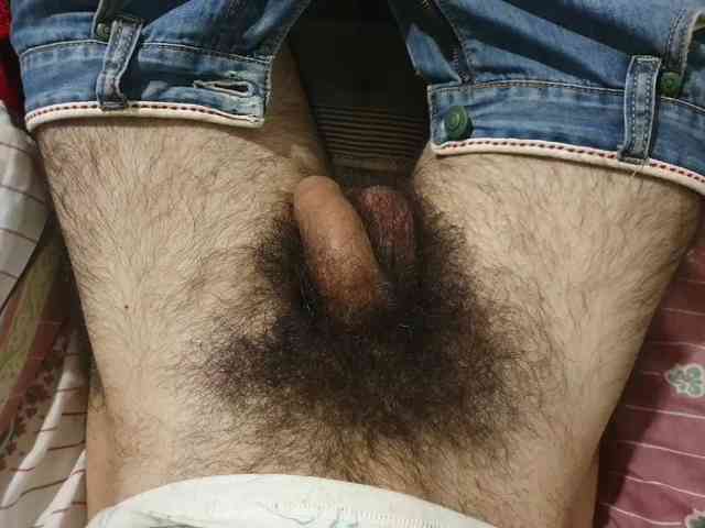 bomvemcam