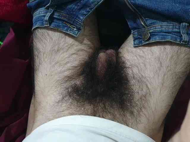 bomvemcam