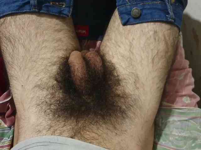 bomvemcam