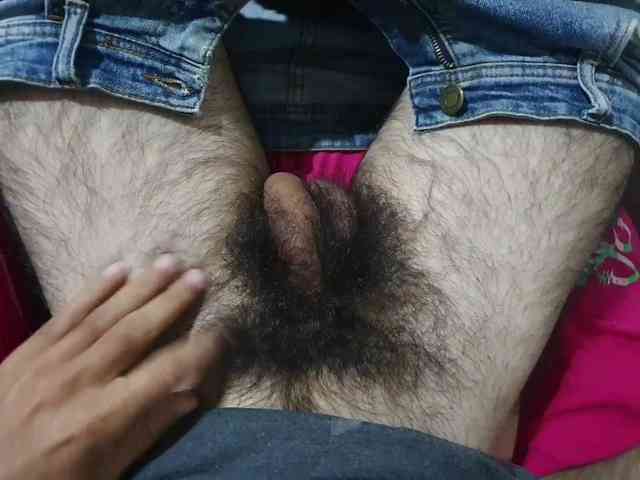 bomvemcam