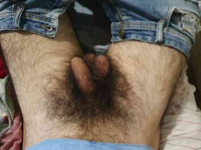 bomvemcam