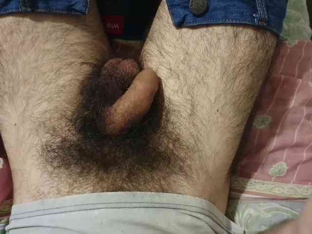 bomvemcam