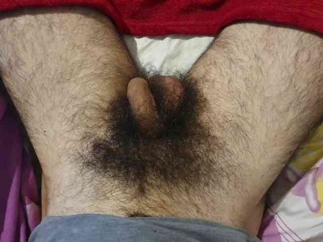 bomvemcam