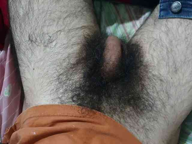 bomvemcam