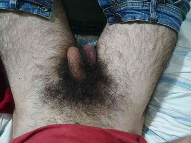 bomvemcam