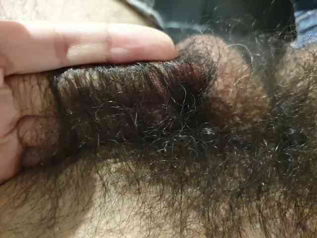 bomvemcam