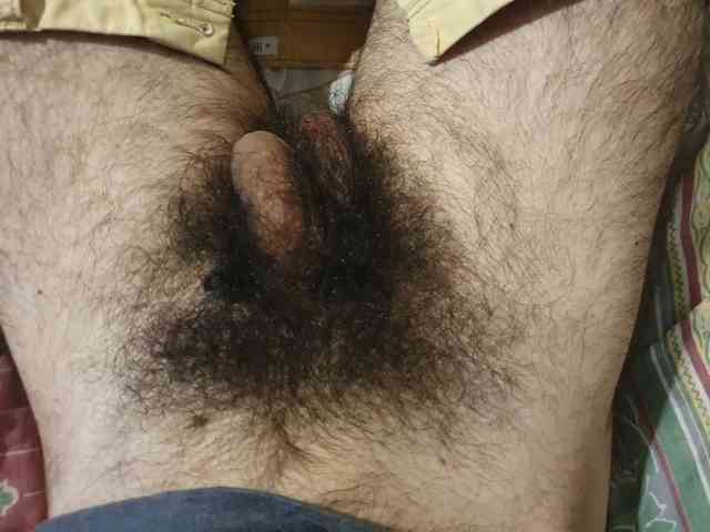bomvemcam