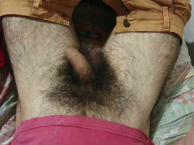 bomvemcam