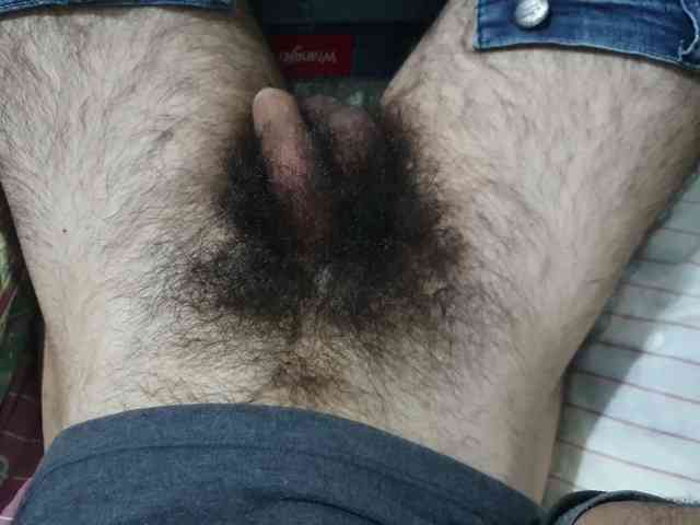 bomvemcam