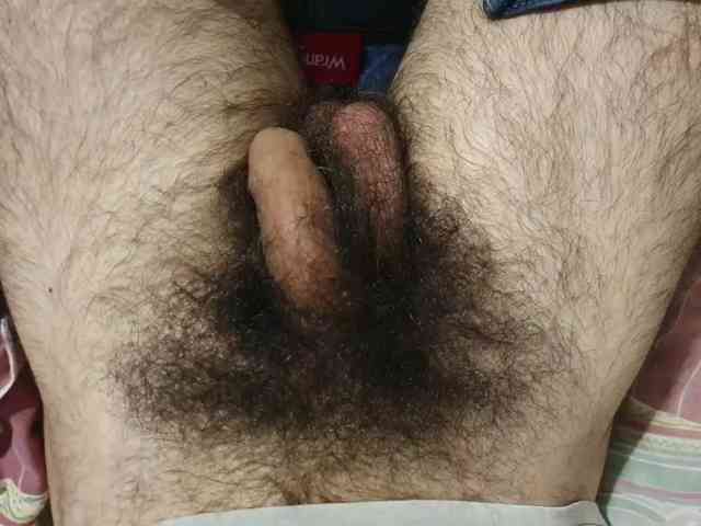 bomvemcam bomvemcam