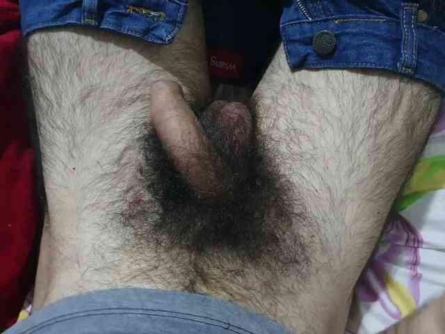 bomvemcam