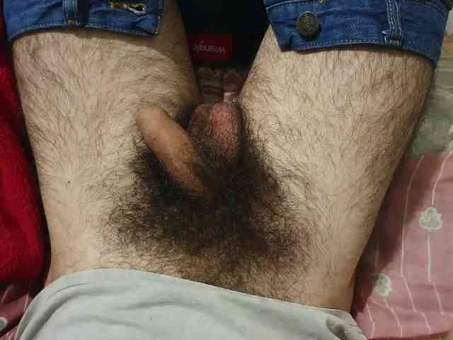 bomvemcam