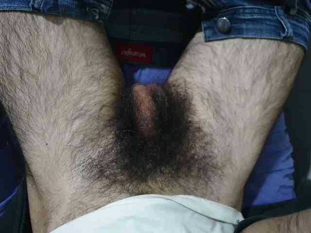 bomvemcam