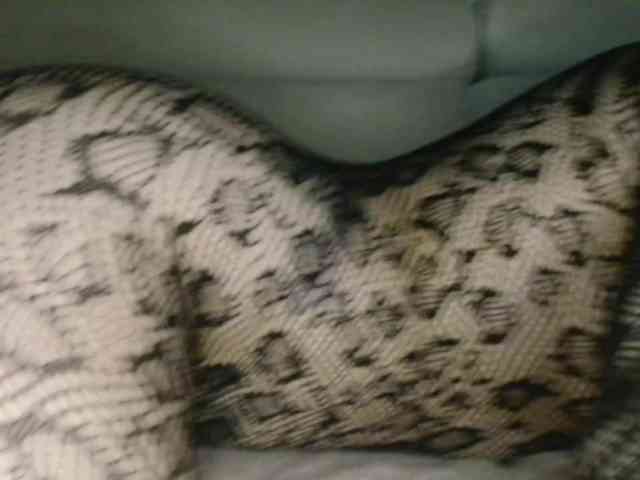 myaamee webcam