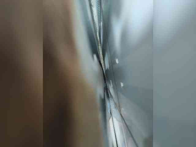 Colaris26
