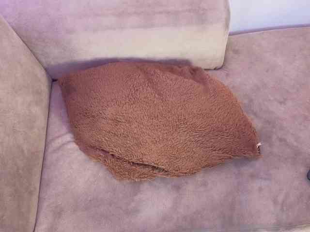 AlanaParker6 webcam
