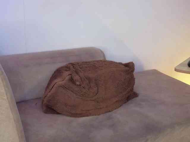 AlanaParker6 webcam