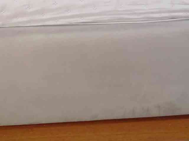 AryaEve webcam