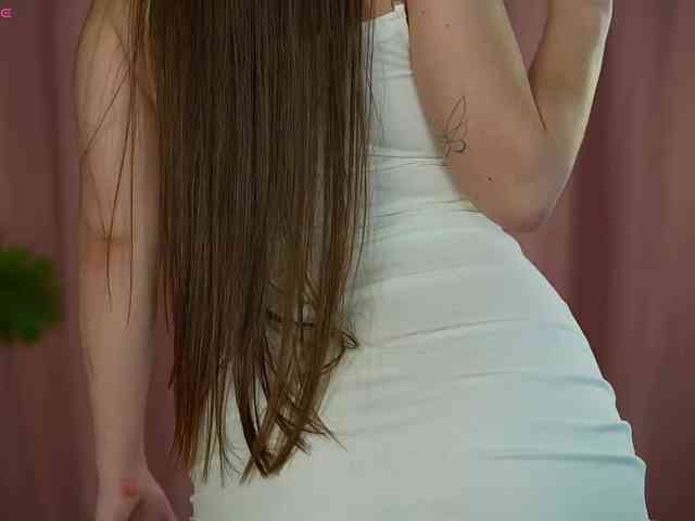 Model: OneLaya