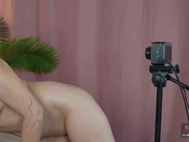 OneLaya webcam
