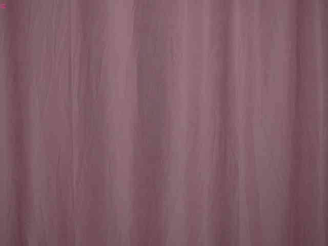 OneLaya webcam