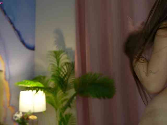 OneLaya webcam