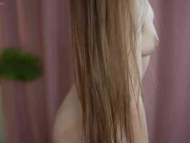 Model: OneLaya