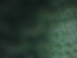 Zlaya_Mamochka_suka Porn Show