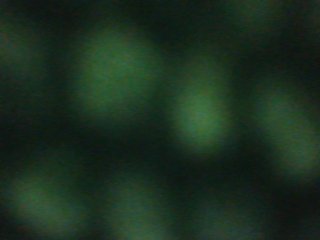 Zlaya_Mamochka_suka Porn Show