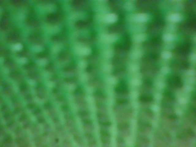 Natalya81 live cam on BongaCams