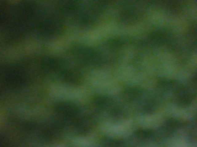 Natalya81