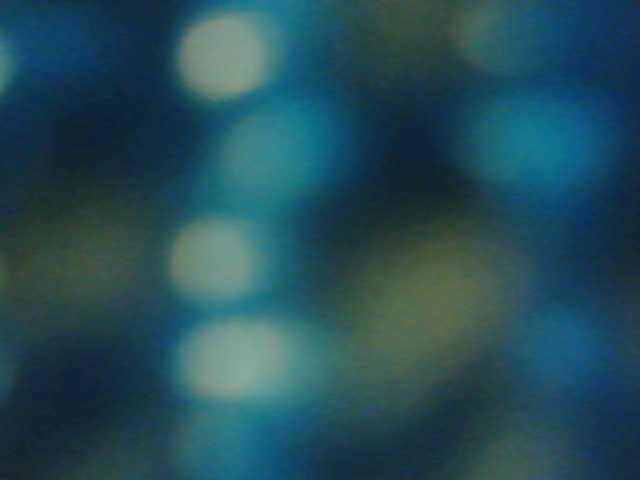 Natalya81 live cam on BongaCams