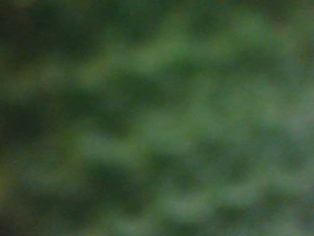 Natalya81